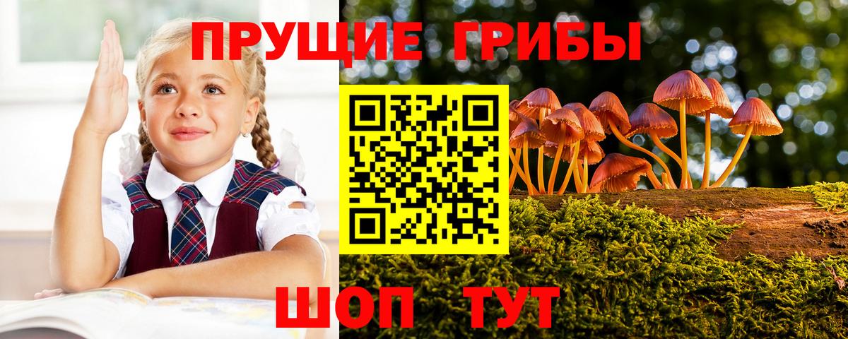 Галлюциногенные грибы мицелий  Псилоцибиновые грибы MAGIC MUSHROOMS  Городец  Вход с VPN 